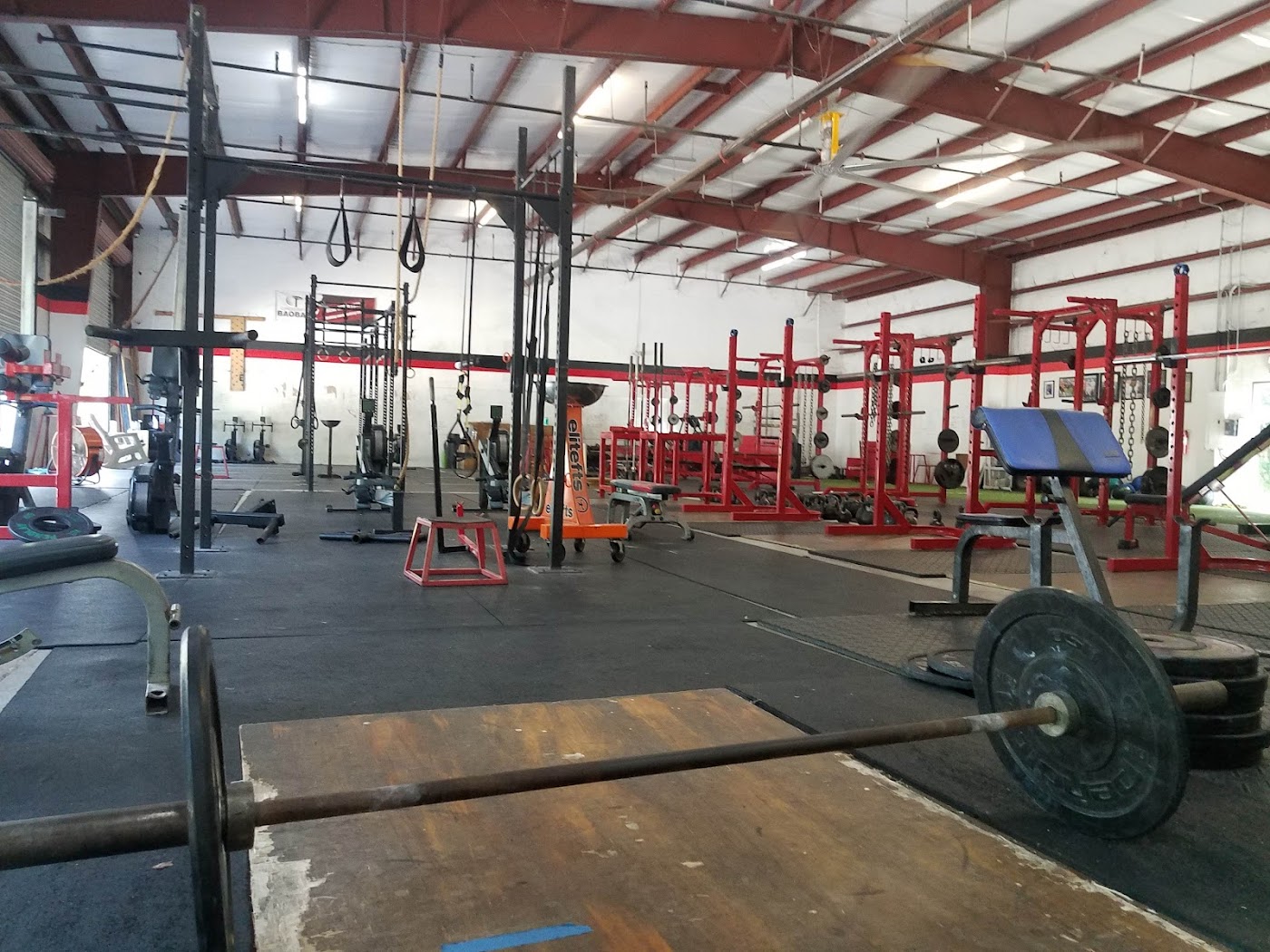 Elite Strength and Performance detail 1