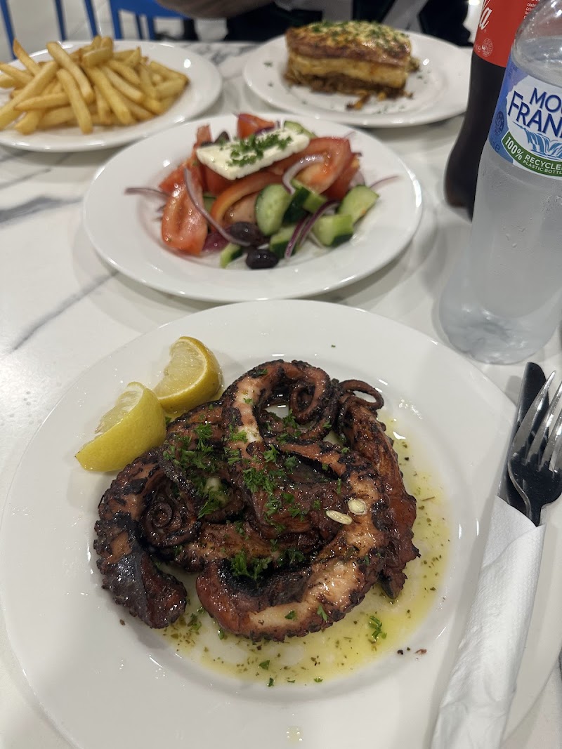 Souvlaki Haven photo 10