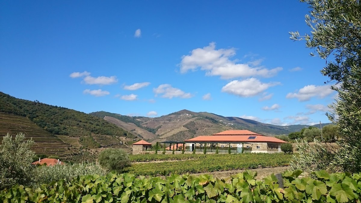 Quinta da Roêda - Croft Port