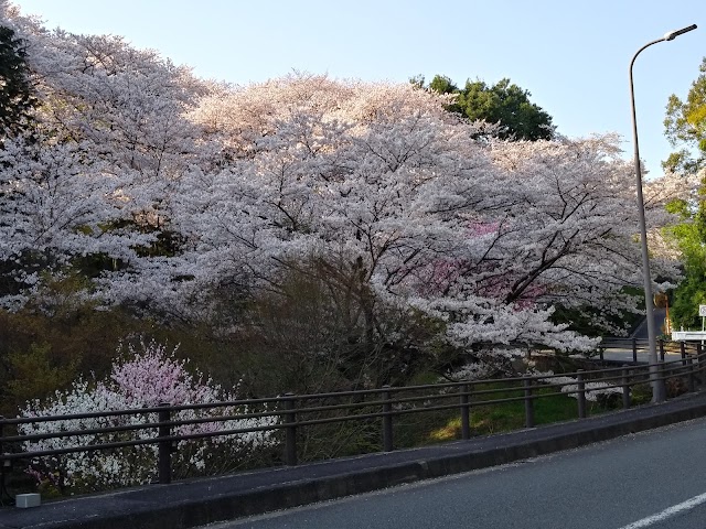Hon-Atsugi Country Club - Photo 9