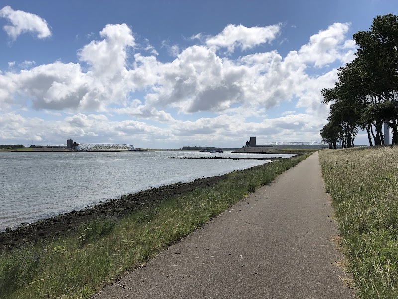 Nieuwe Waterweg