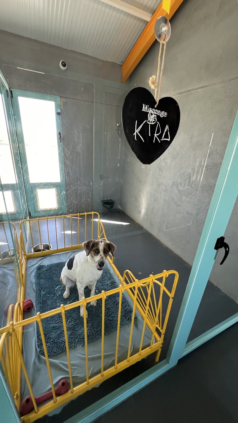 Hotel Canino y Felino Vetoven | Residencia Canina