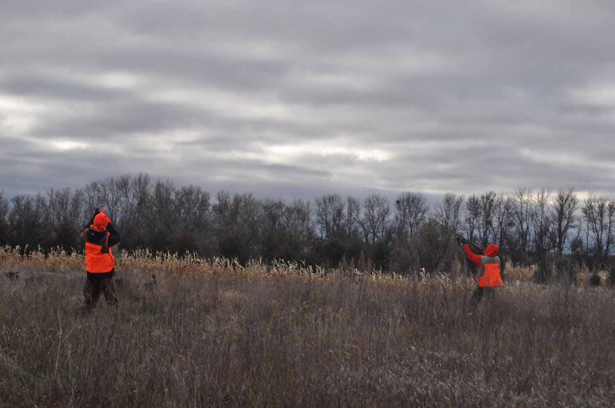 Dakota Hunting Farms