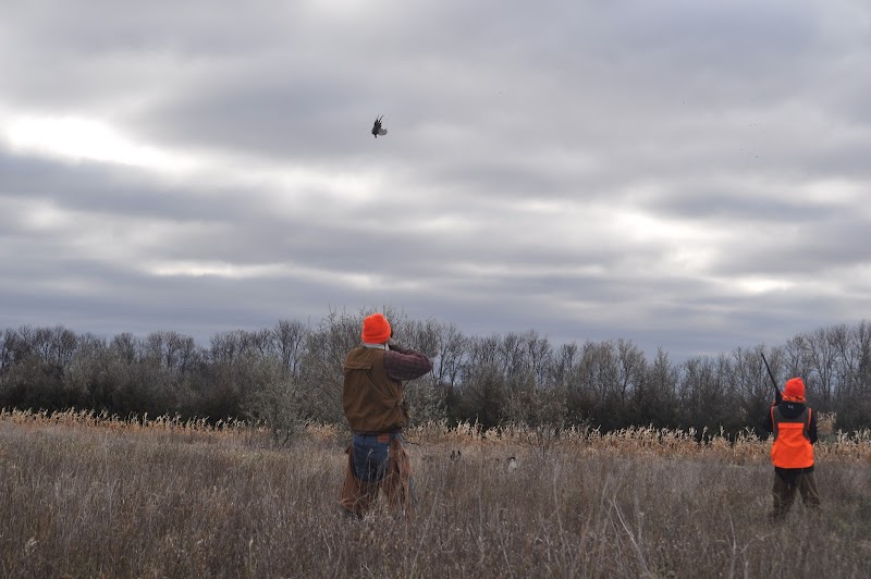 Dakota Hunting Farms - Photo 3