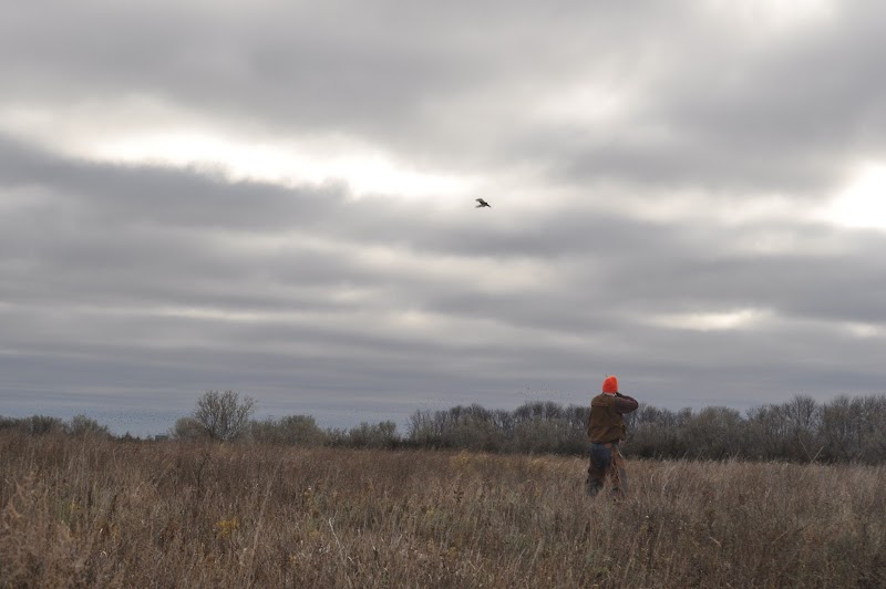 Dakota Hunting Farms - Photo 1
