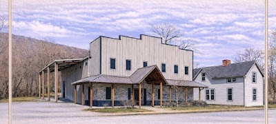 Lotus Mental Health + Neurofeedback