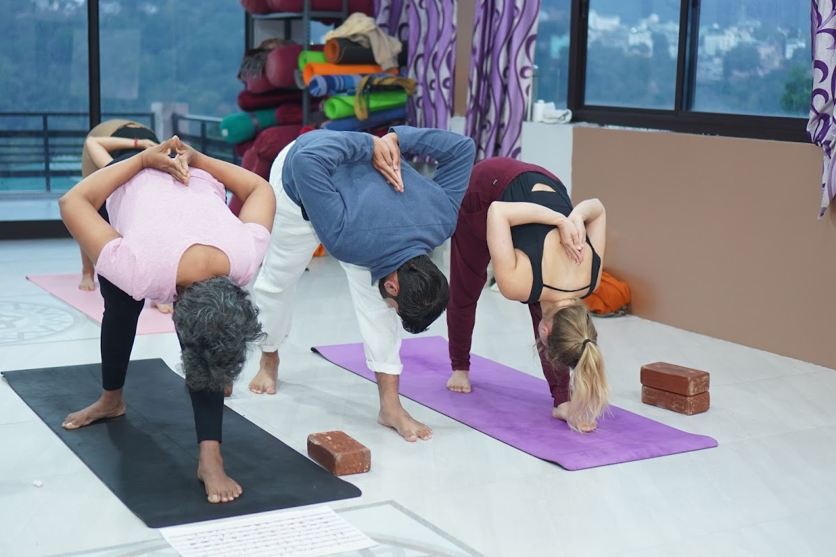 Yoga Vidya School | Yoga Teacher Training School, Rishikesh — 4
