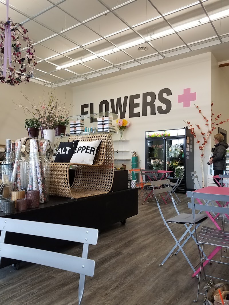 Hank & Sylvie's photo 1