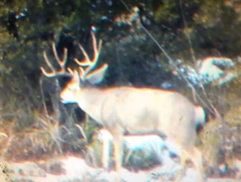 AZ B and B Outfitters LLC - Photo 6