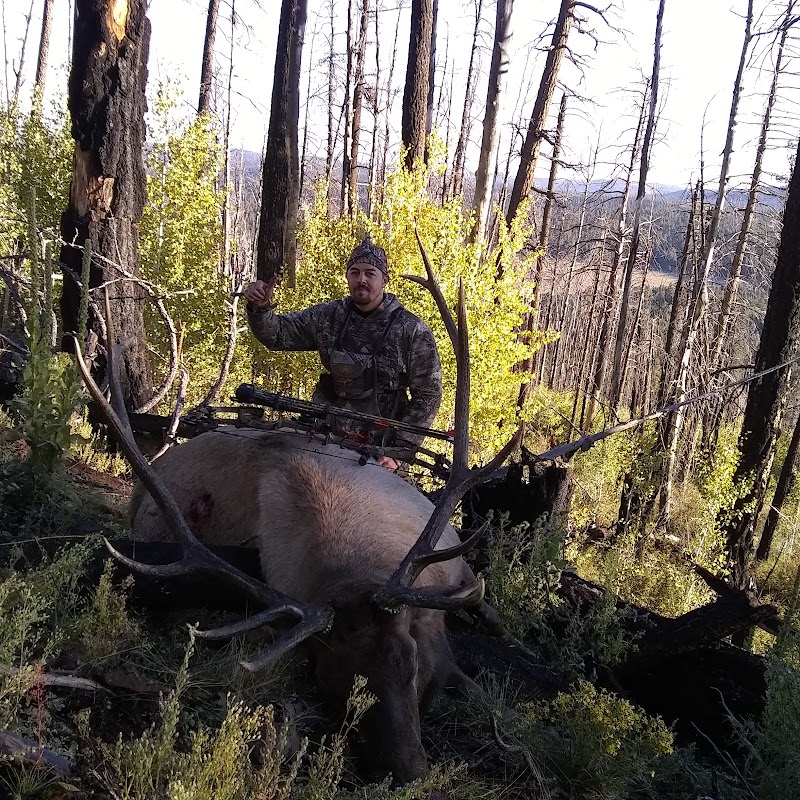 AZ B and B Outfitters LLC - Photo 1