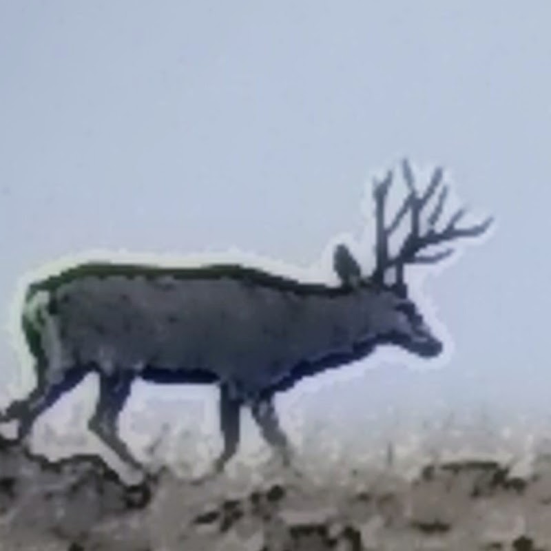 AZ B and B Outfitters LLC - Photo 3