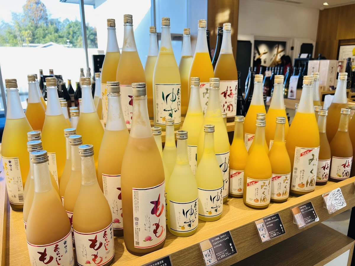 Umenoyado - ryokan in Yoshino, Nara (3)