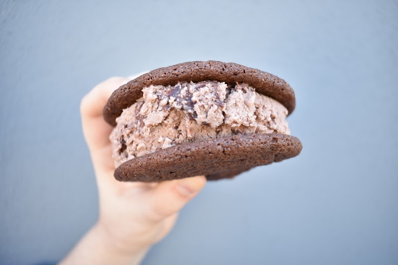 Sunshine Sammies photo 2