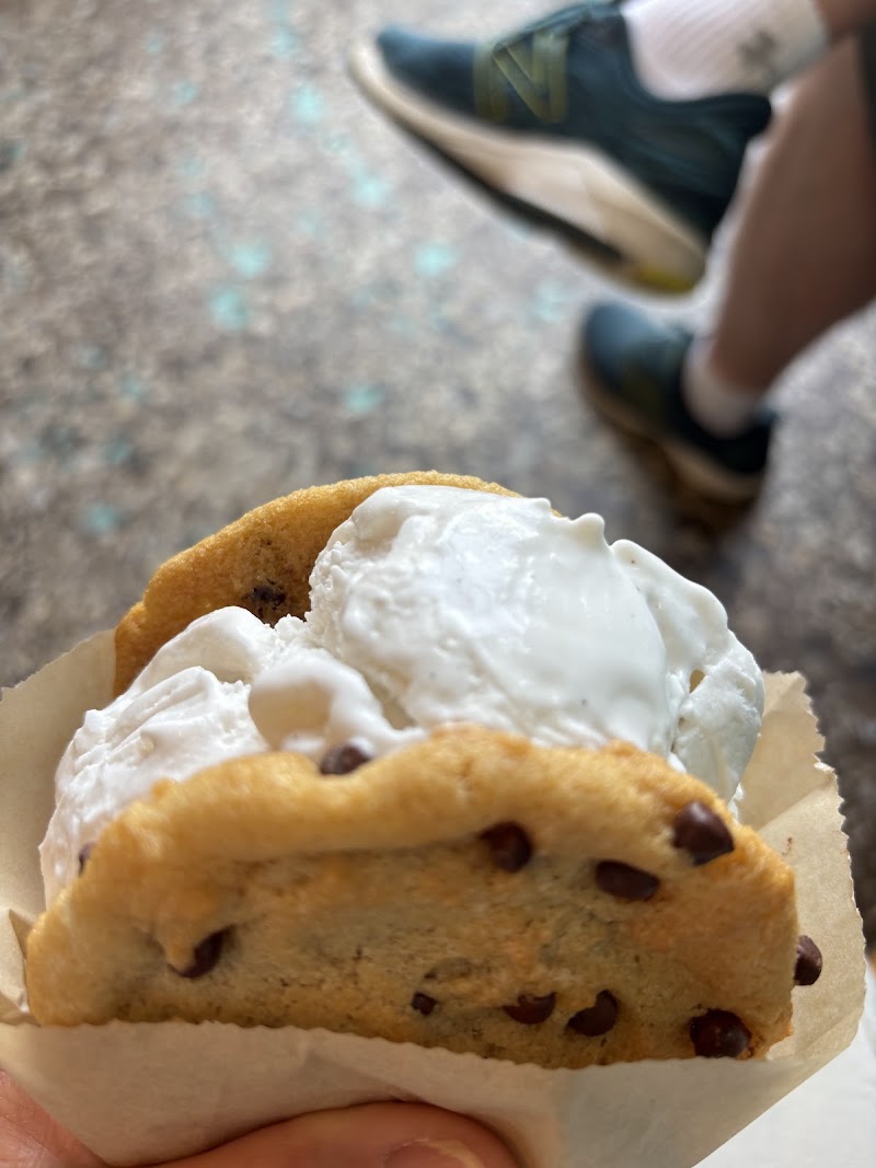 Sunshine Sammies photo 3
