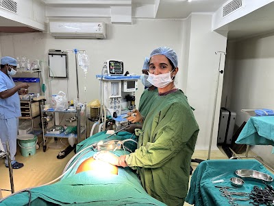 Dr Sumina Reddy - Image 2