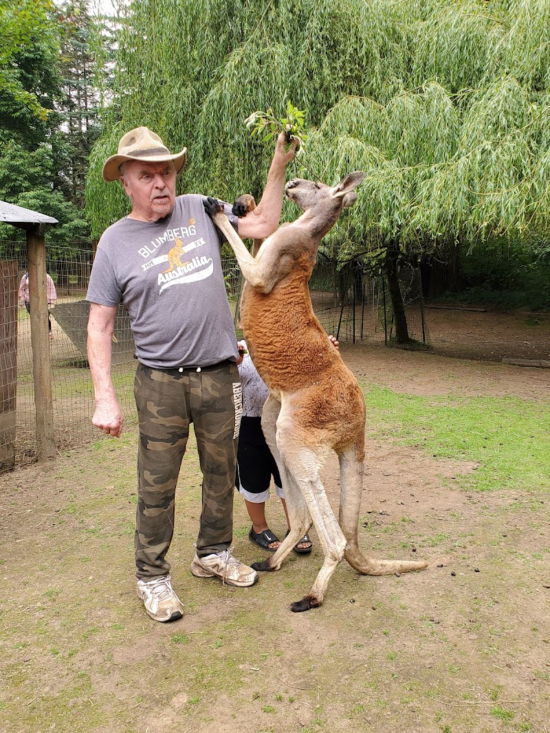 The Outback Kangaroo Farm - Photo 1