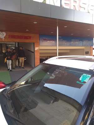 Dr. Tejaswi Nandan - Image 2