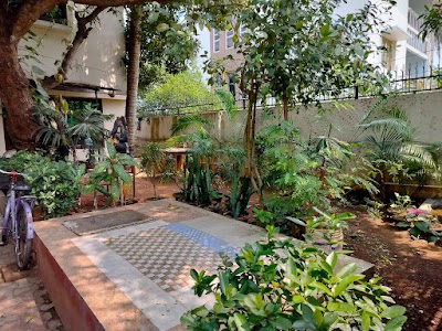 Dr Veena Panda Clinic - Image 2