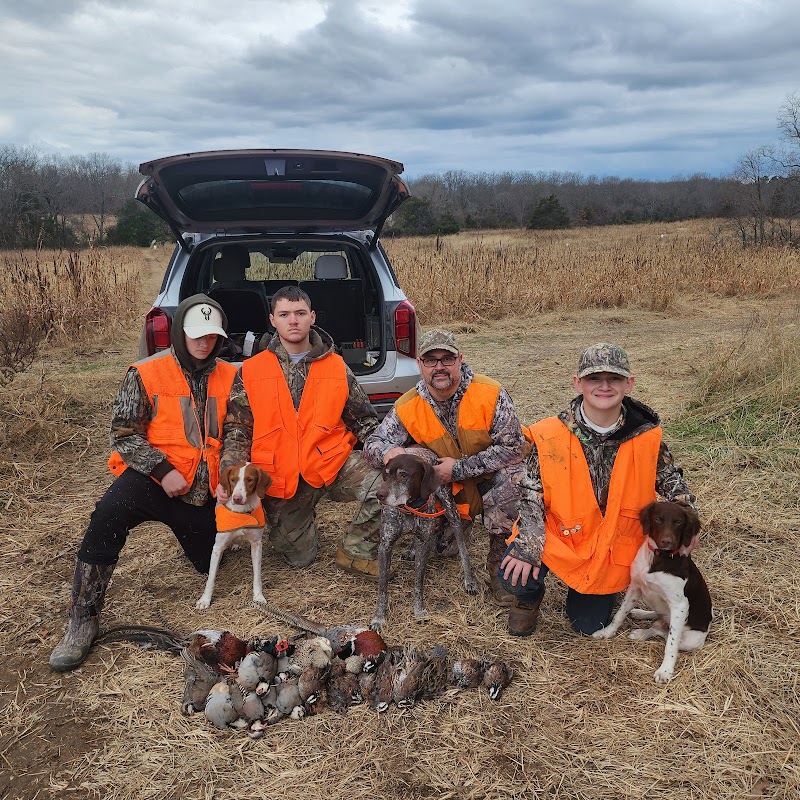 Ozark Wings - Photo 1