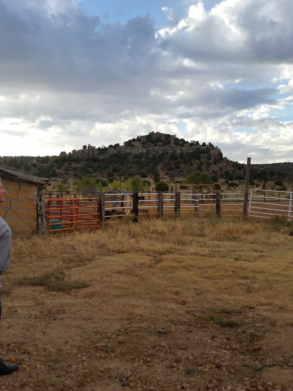 Hitching Post Lodging & Working Ranch
