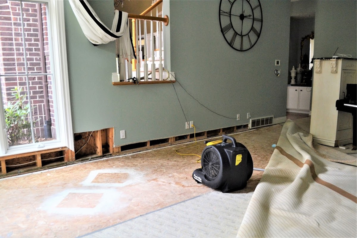 Eastwood Flood & Water Damage Cleanup — photo