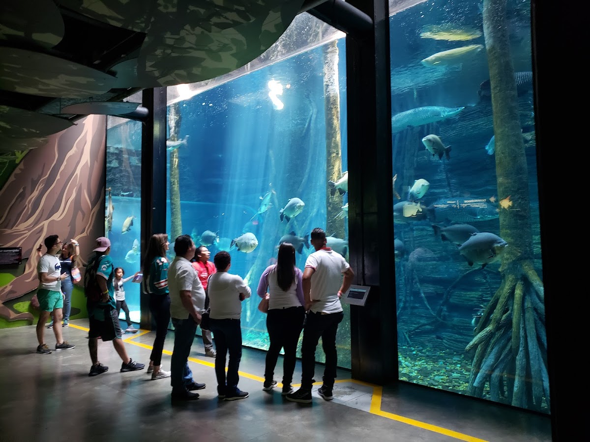 Parque Explora