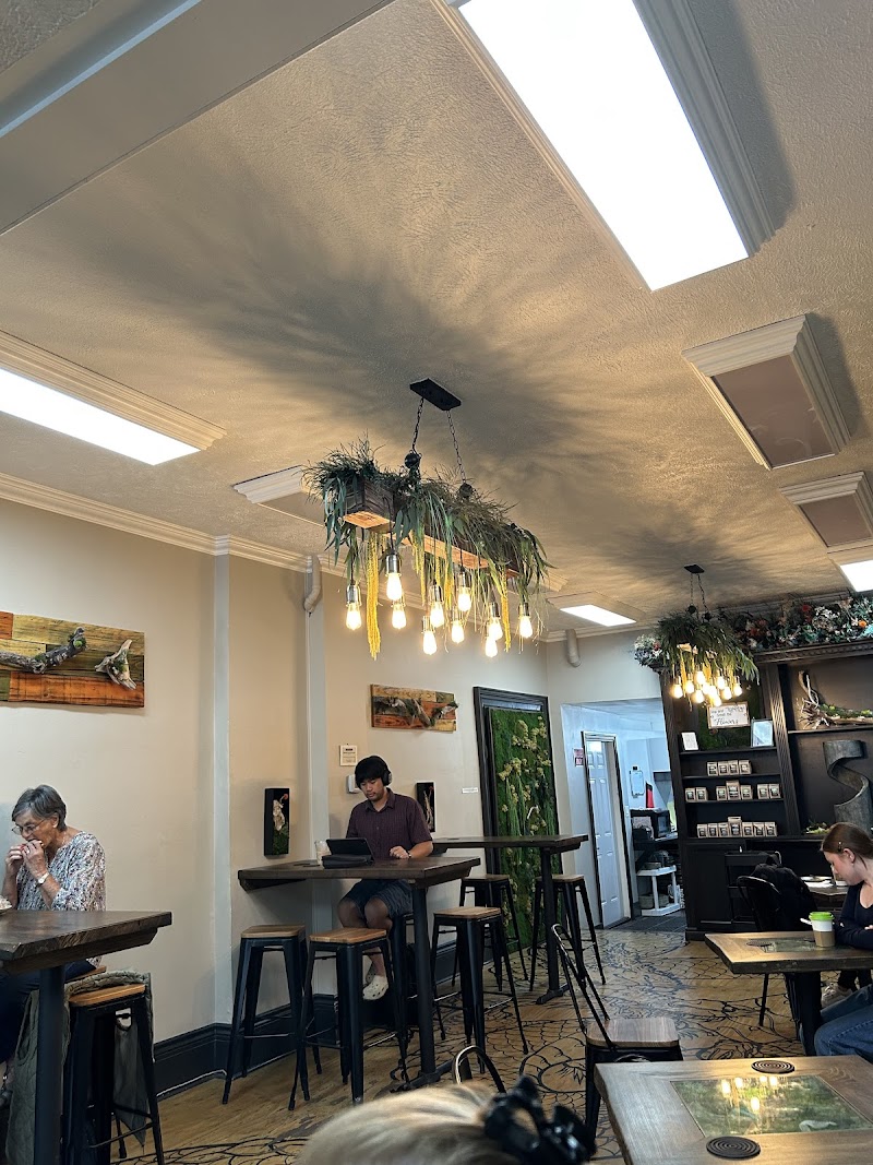 The Daily Grind photo 4