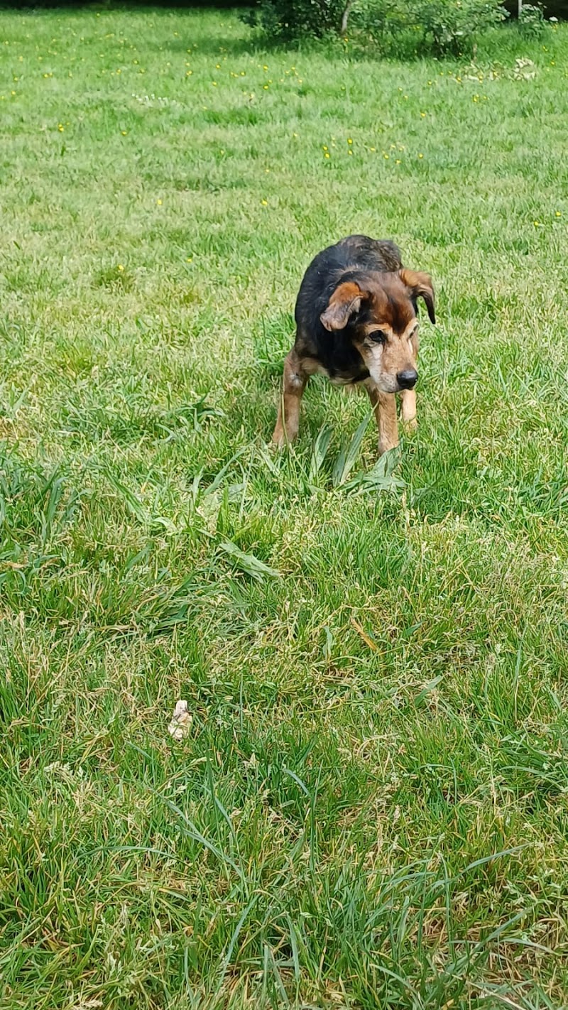 Clínica Veterinaria La Rosa photo 4