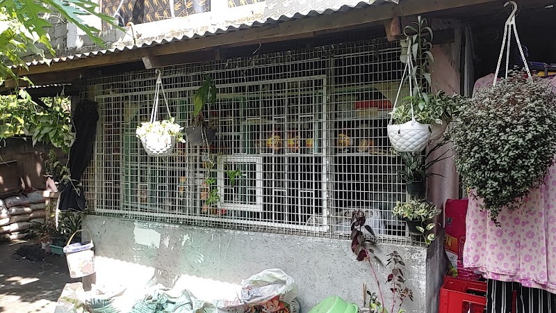 Nilo's Store