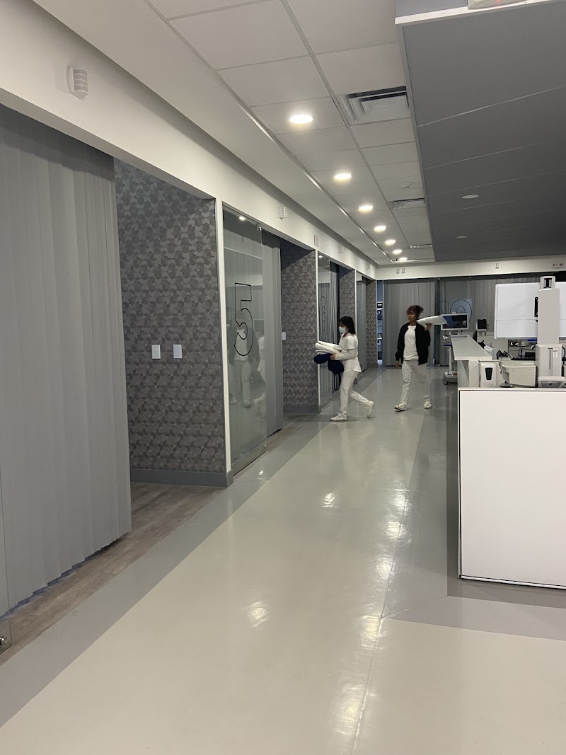 Gallery 2