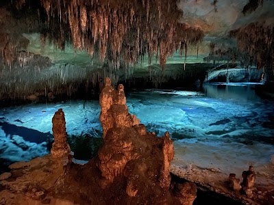 Coves del Drach