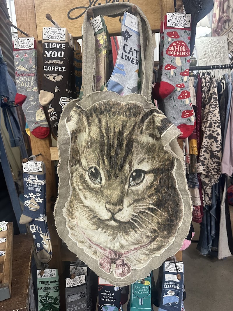 The Purple Painted Lady photo 4