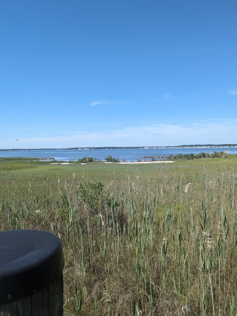 Isle of Wight Nature Park - Photo 4