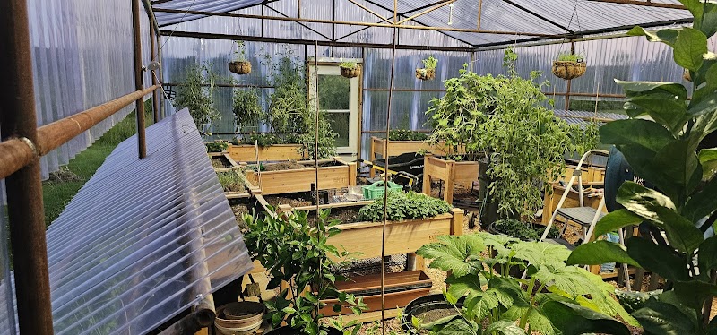 Triple Horn Farms - Photo 3
