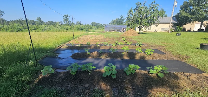 Triple Horn Farms - Photo 4