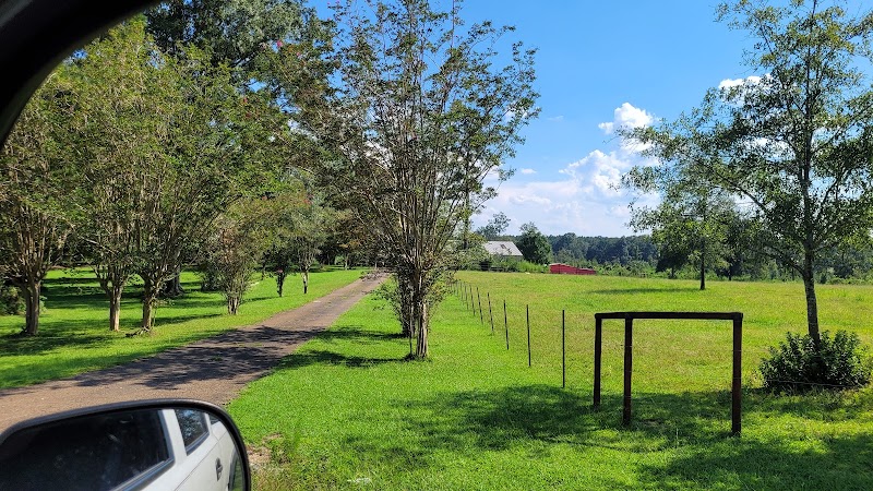 Triple Horn Farms - Photo 1