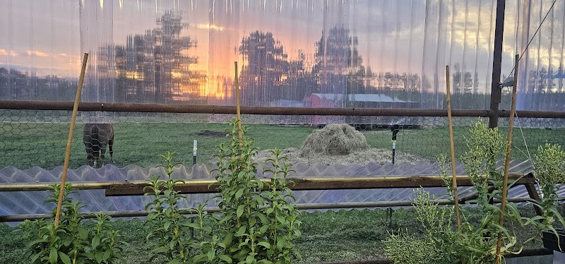 Triple Horn Farms - Photo 2