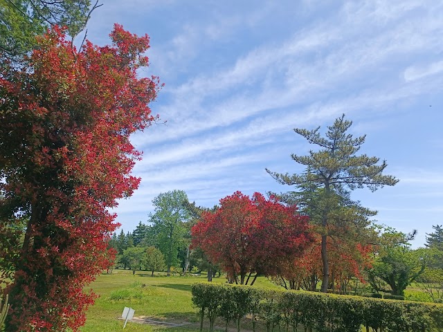 Daishinen Tenno Golf Course - Photo 10