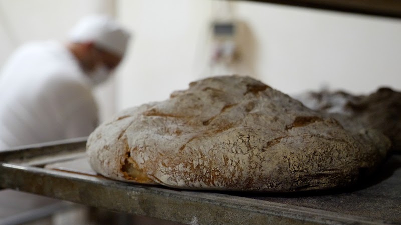 Panaderia Lino Cobas photo 1