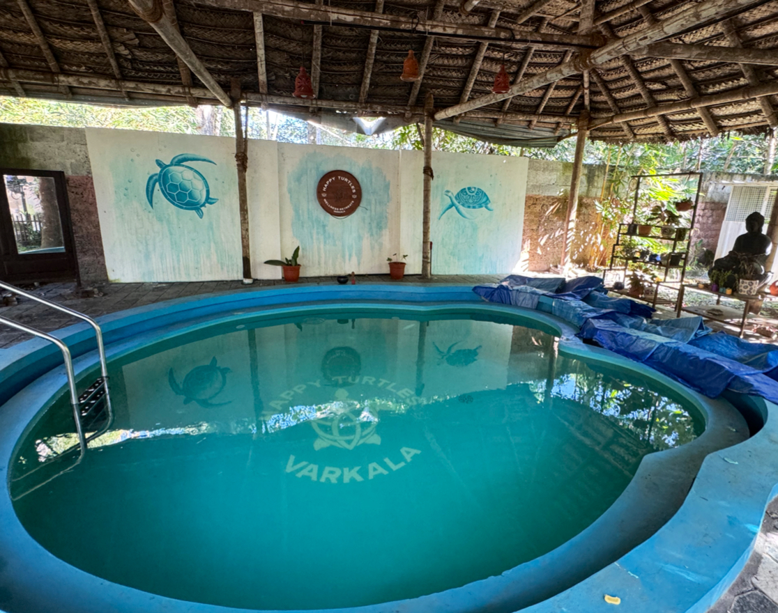 Happy Turtles Wellness & Retreats (Warm Water Therapy & Homestay) — 3