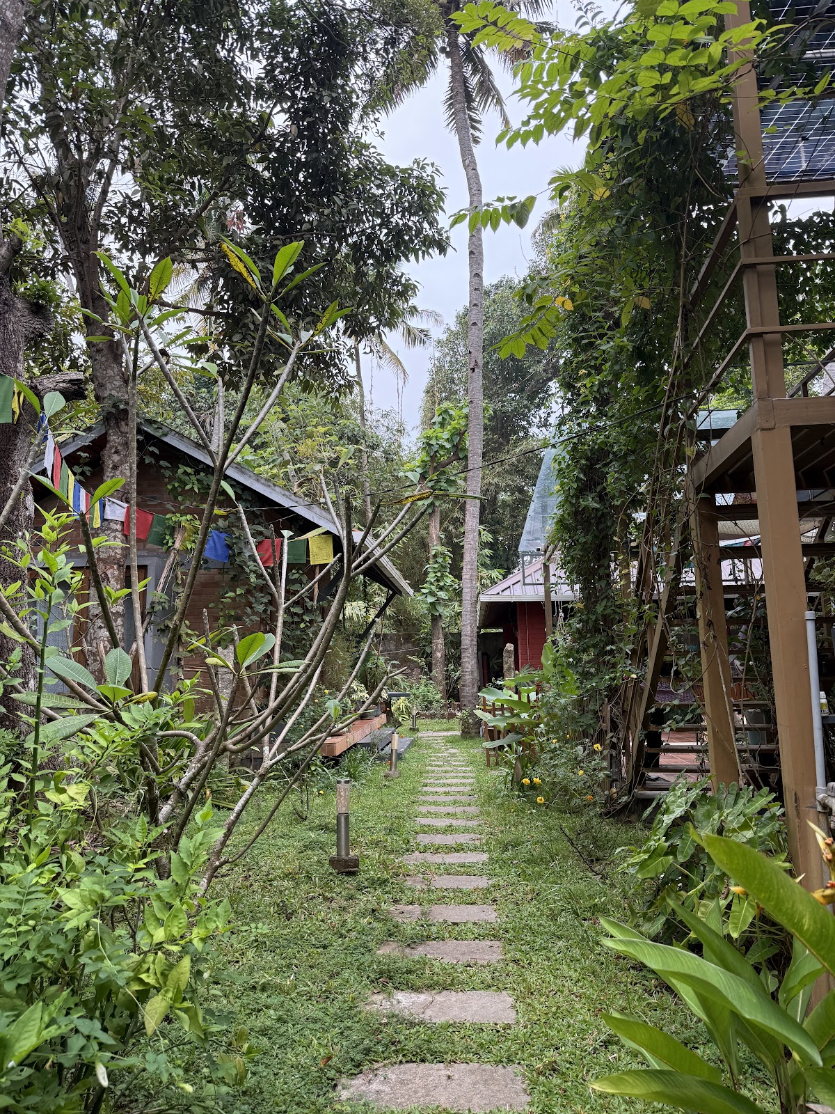 Happy Turtles Wellness & Retreats (Warm Water Therapy & Homestay) — 4