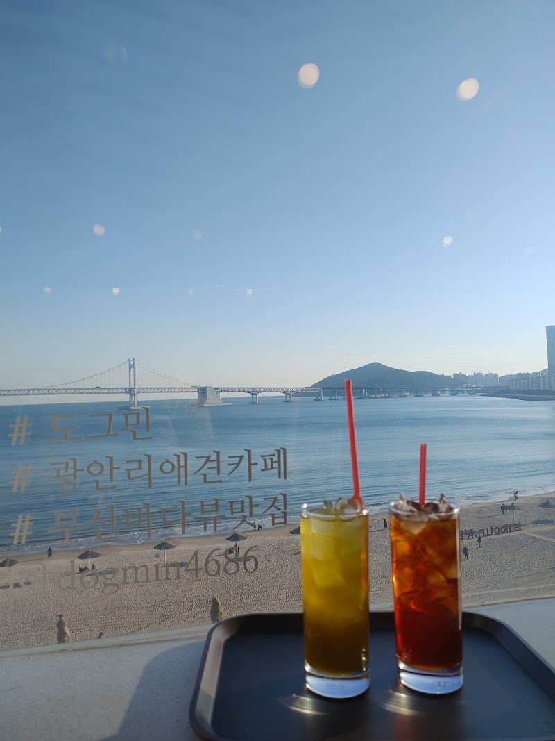 도그민 사진 6