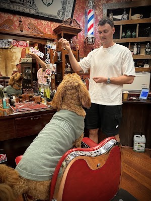 𝐓𝐇𝐄 𝐑𝐄𝐆𝐄𝐍𝐓𝐒 𝐁𝐀𝐑𝐁𝐄𝐑 photo 3