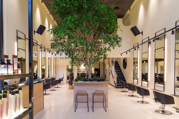 The Society Salon photo 3