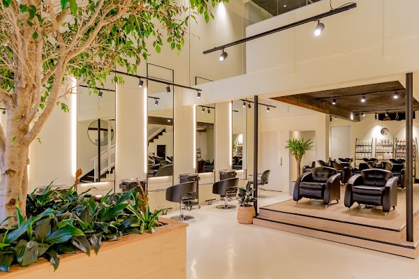 The Society Salon photo 2