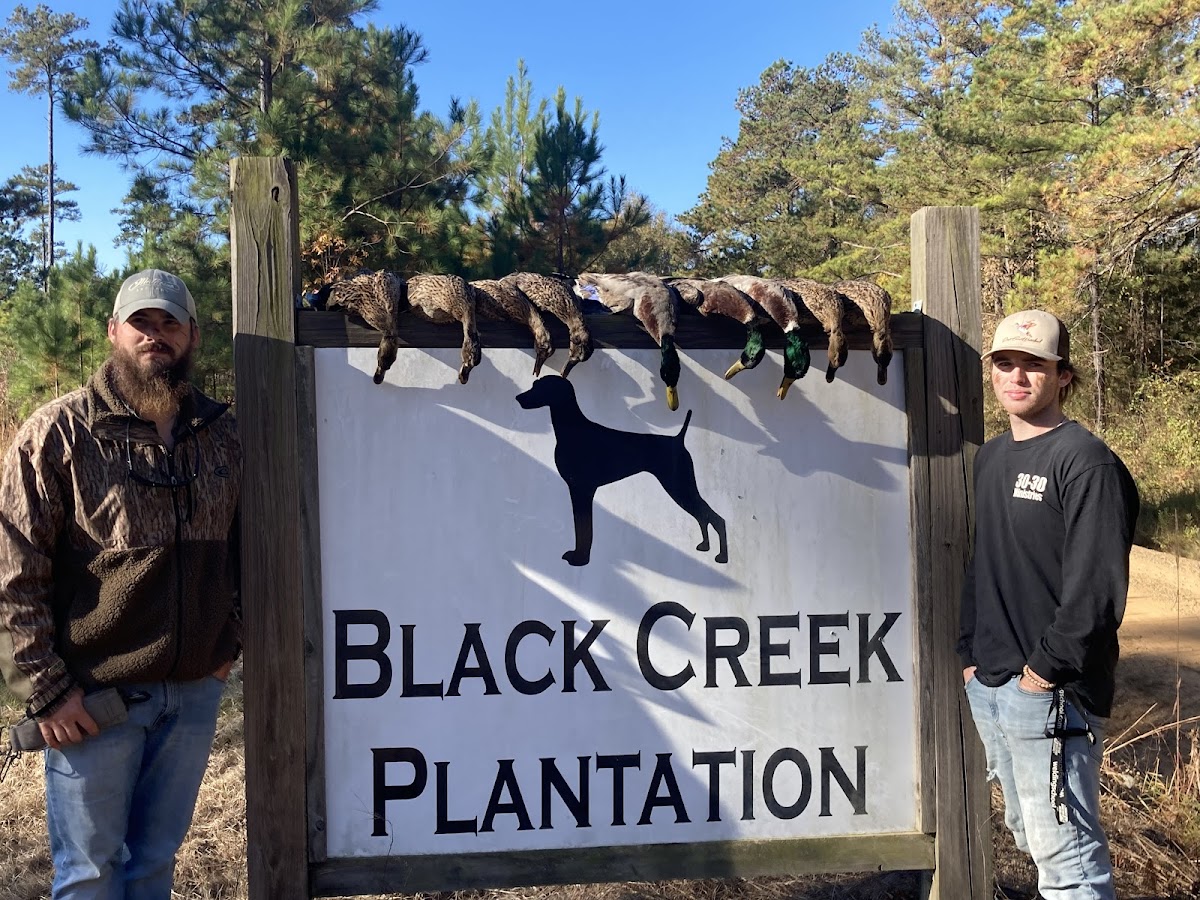 Black Creek Plantation