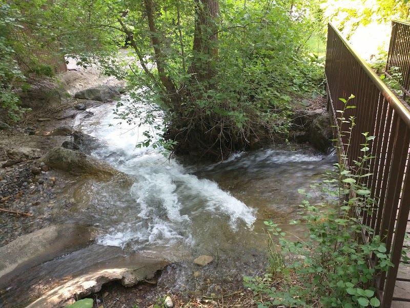 Von Baer Park photo 2
