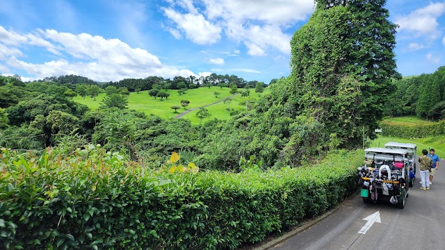Chisun Country Club Onga - Photo 10