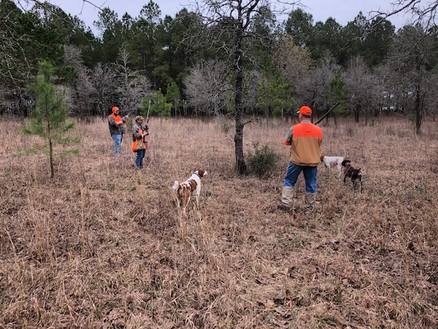 Thornhill Shooting Preserve