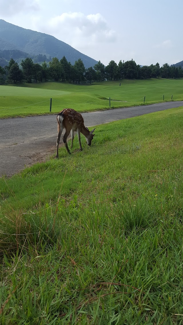 Kameoka Golf Club - Photo 10